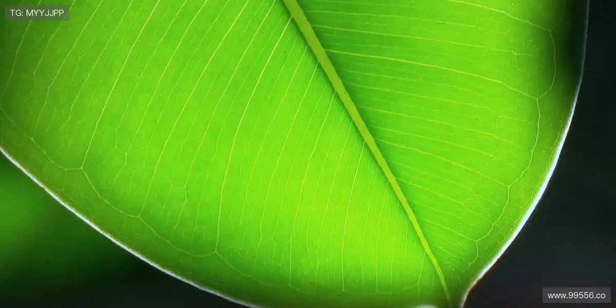 收藏经典,留住美好回忆!📸🔥